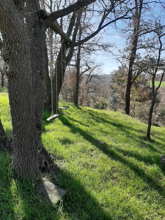 Allotjament Rural Solsona Exterior foto